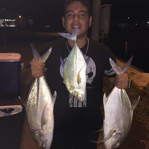 Meet your Posher, Kahikipolani